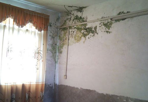 031abea8dec965336025f64184089c4e298.jpg 031abea8dec965336025f64184089c4e298.jpg